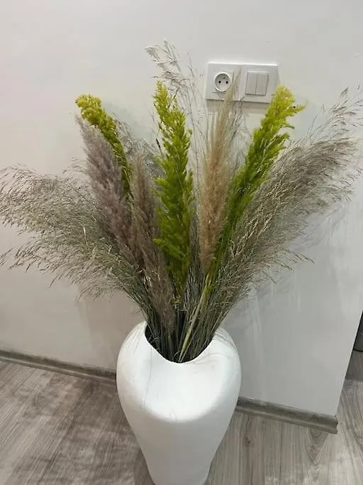 Appartement Moderne Marrakech 马拉喀什 公寓